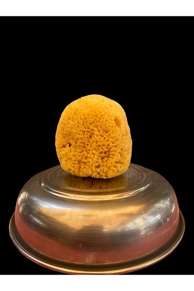 ASLANCAN Medium Size Natural Sea Sponge
