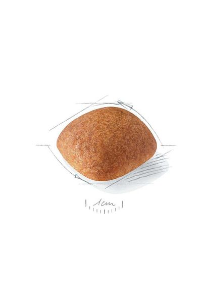 Royal Canin Golden Retriever Dog Food - 12 kg