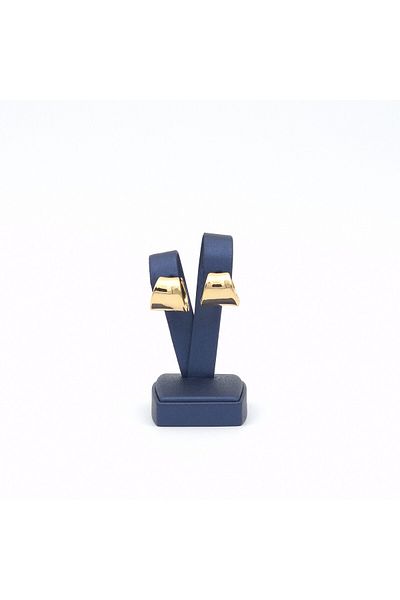 Janset Gold Colored Tunnel Model Steel Earrings - 316l Non-tarnish Steel