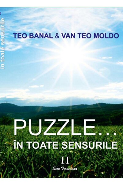 Editura Ecou Transilvan Puzzle... in toate sensurile Volumul II, Teo Banal