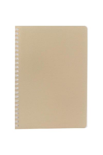 Roco Notebook – A5, 160 Pages, Lined, Plain Gold Cover