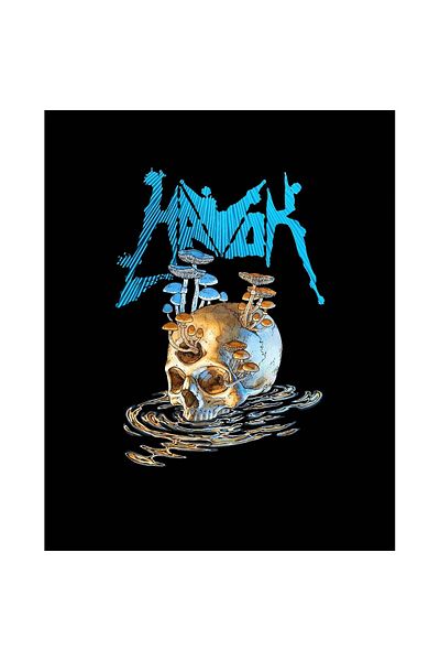 Z zepplin Havok Skull Large Back Patch Patch