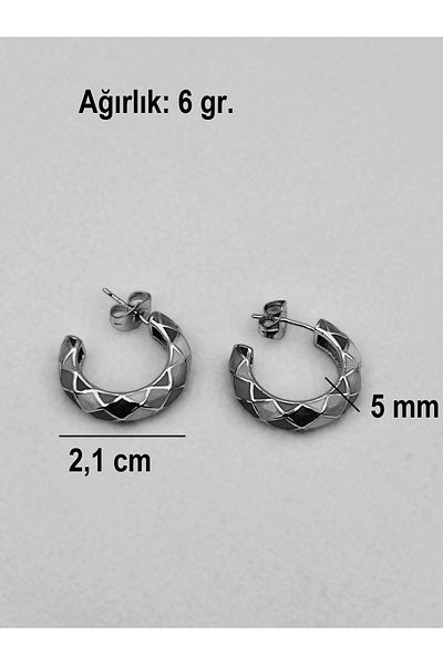 Siya Silver Mineli Striped Color Steel Earrings