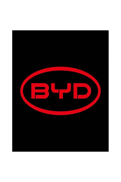 Z zepplin Patch-ul mare pentru spate cu logo-ul BYD