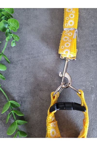 Pet Aksesuar Dog Chest Harness and Walking Leash Set 2 In1,2 Cm.Mixed Designs
