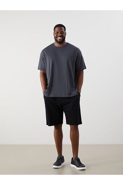 LC Waikiki Standard Fit Men's Shorts