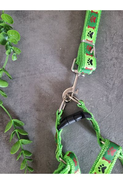 Pet Aksesuar Dog Chest Harness and Walking Leash Set 2 In1,2 Cm.Mixed Designs