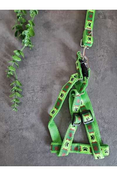 Pet Aksesuar Dog Chest Harness and Walking Leash Set 2 In1,2 Cm.Mixed Designs