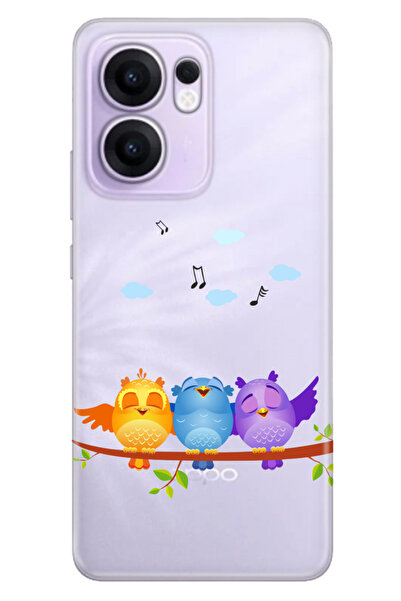 OPPO Reno 13F 5G Kılıf Renkli Silikon Baskılı TPU Kuşlar