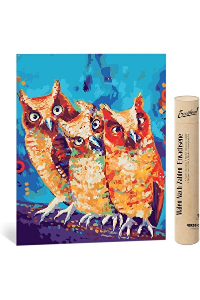 Bougie Decor Set de vopsea acrilică Bougimal cu numere, model bufniță, multic...