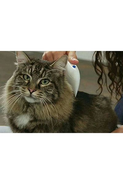 AC BOX Cat Dog Flea Cleaner Flea Comb Flea Doctor