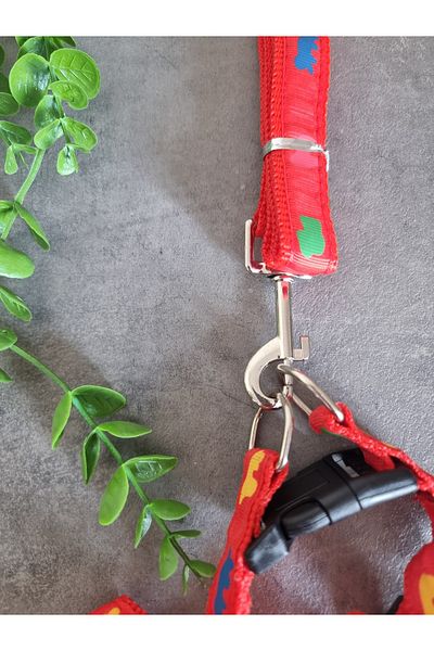 Pet Aksesuar Dog Chest Harness and Walking Leash Set 2 In1,2 Cm.Mixed Designs