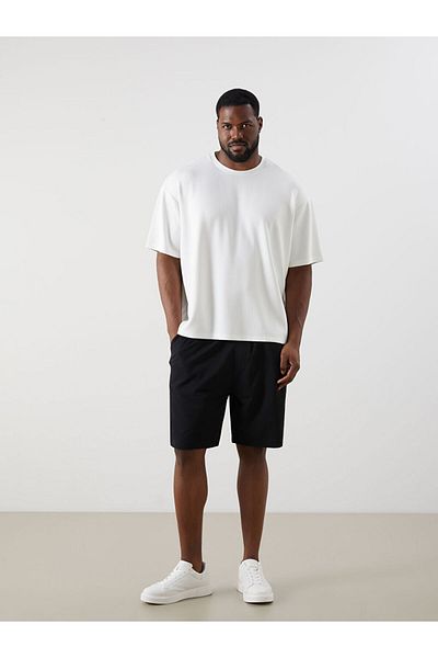 LC Waikiki Standard Fit Men's Shorts