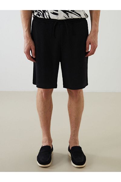 LC Waikiki Standard Fit Men's Shorts