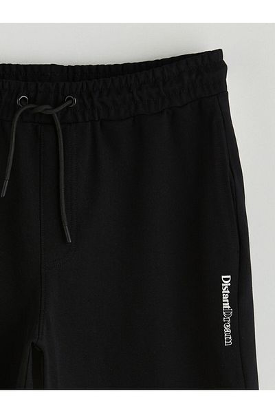 LC Waikiki Ανδρικό σορτς Standard Fit