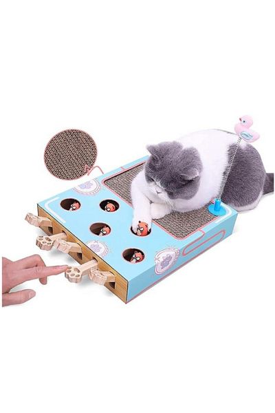 CASAMOJO 3 in 1 Interactive Cat Toy, Whack a Mole Toy