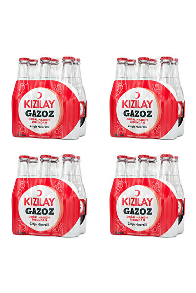 Kızılay Gazoz - Doğan Maden Suyundan Zengin Mineralli - 250 ML x 24 Adet