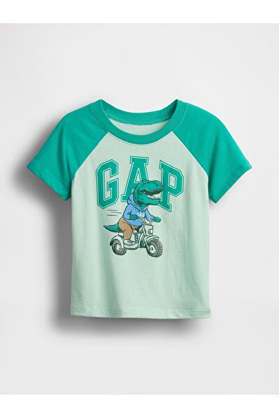 GAP Erkek Bebek Yeşil Gap Logo Colorblock T-Shirt
