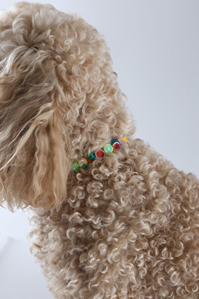 Winla Paws Evcil Hayvan Kedi Köpek Şık Sevimli Renkli El Yapımı Tasma Kolyeler