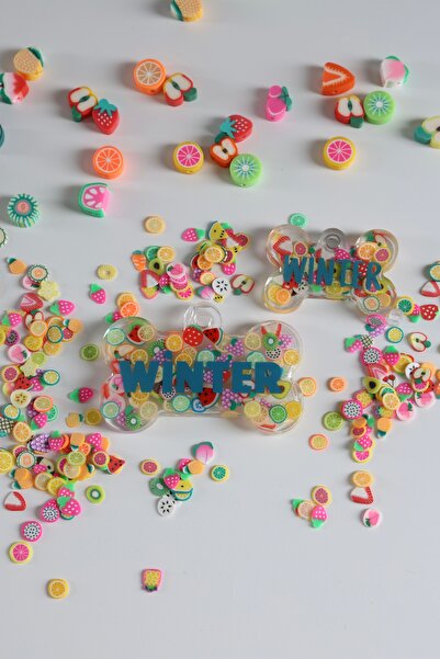 Winla Paws Evcil Hayvan Kedi Köpek Özel İsimli Renkli Künye Tasma İsimlik Köpek Kedi İsimliği