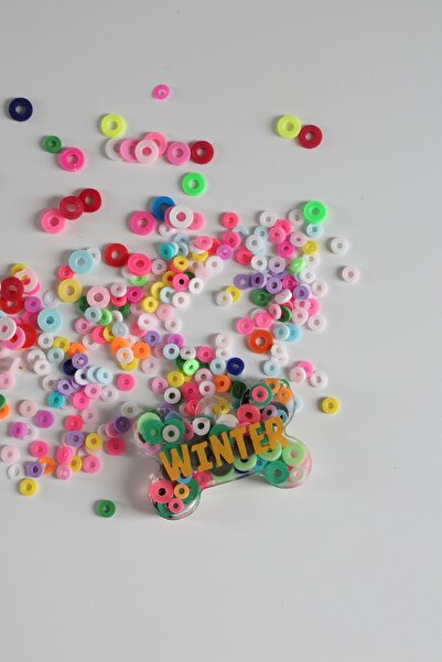 Winla Paws Evcil Hayvan Kedi Köpek Özel İsimli Renkli Künye Tasma İsimlik Köpek Kedi İsimliği