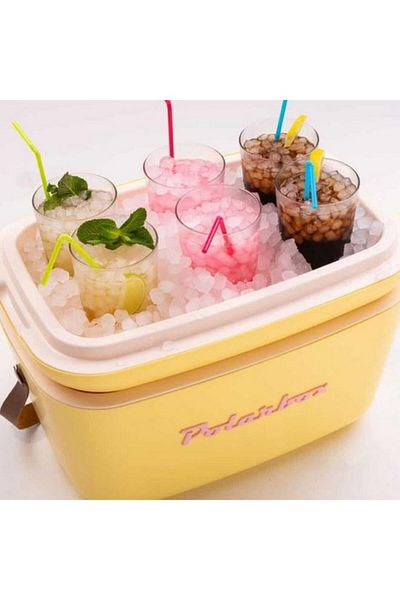 Generic Polarbox Lightweight Durable Cooler Box with Adjustable Leather Strap Yellow and Turquoise 20 Liter