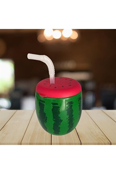 CT STONES Ct-Stones ®   Watermelon Model Water Bottle with Straw, 900 Ml, Flask