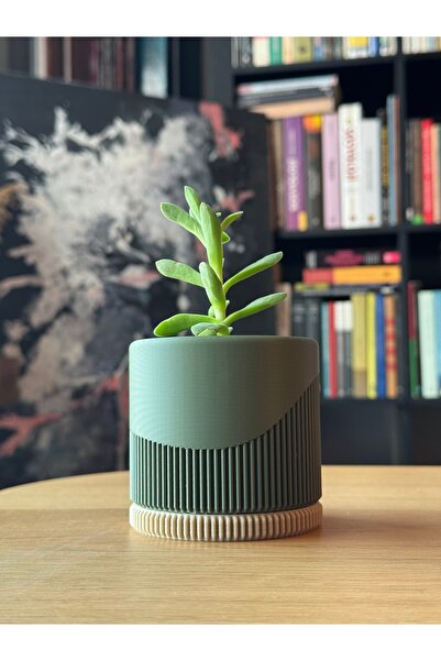 DECOROMA Dekoratif Küçük Boy Sukulent Saksı