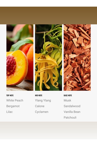 Hotel Collection زيت موزع E11EVEN Pro-Pod - أرجواني، خشب الصندل، وباتشولي - 50 مل