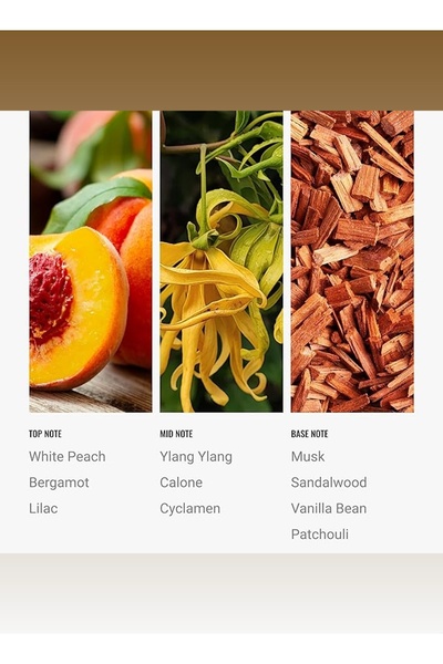 Hotel Collection زيت عطري E11EVEN - لموزعات الزيوت العطرية - ليلك، خشب الصندل، وباتشولي - 50 مل