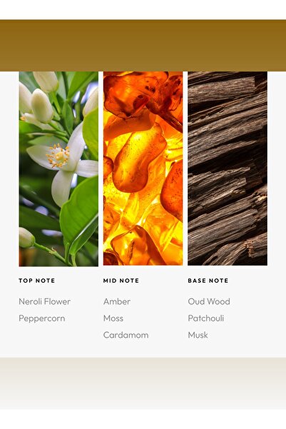 Aroma360 زيت عطري أرجواني - زهرة النيرولي، الفلفل الأسود، الهيل والباتشولي - 50 مل، 1.7 أونصة سائلة