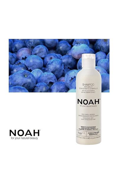 Noah Anti-yellow Shampoo With Blueberry Extract, 1.9, , 250 ml