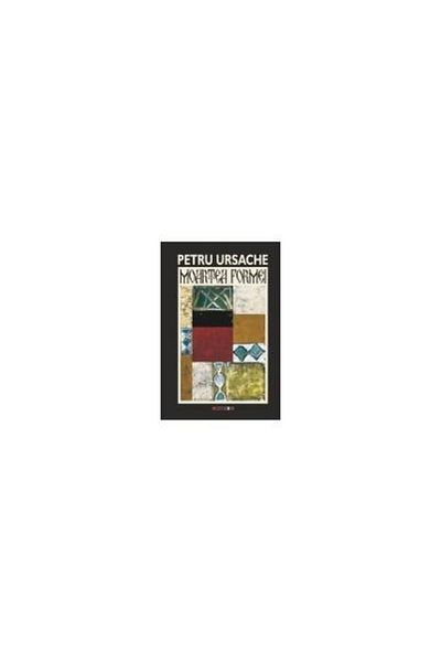 Editura Eikon The Death of Form, Petru Ursache