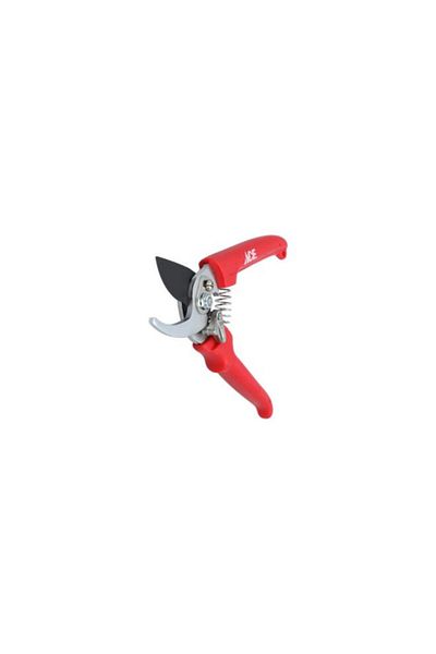 Generic ACE Bypass Pruner