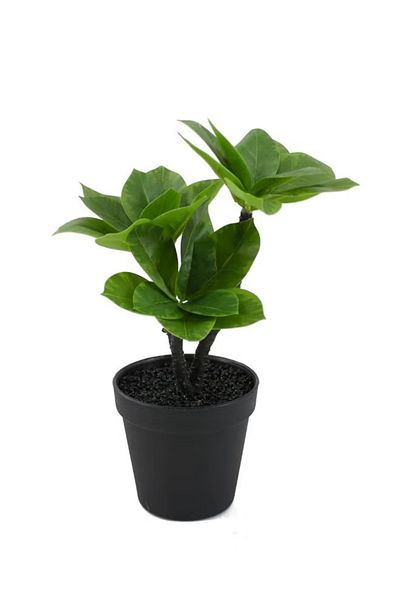 DRAMA HOME Artificial plant for home decoration 30cm
