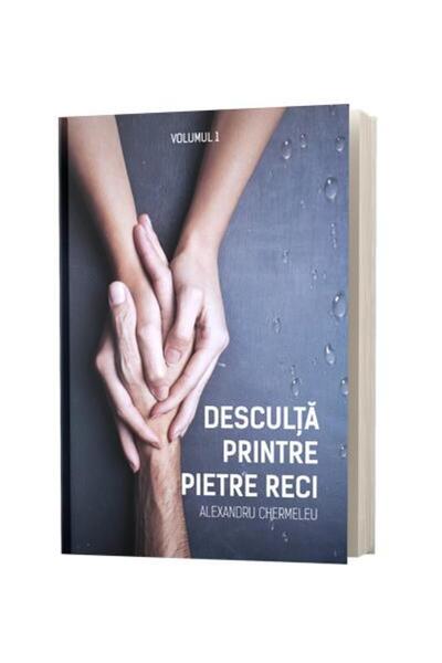 Editura Stylished Desculta printre pietre reci - Volumul 1, Alexandru Chermeleu
