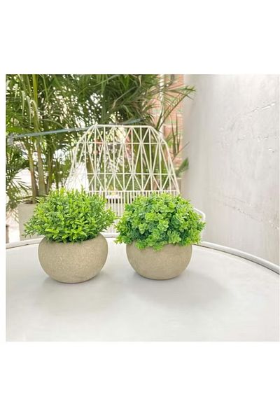 DRAMA HOME Small artificial plastic grass plants in a pot for home decor