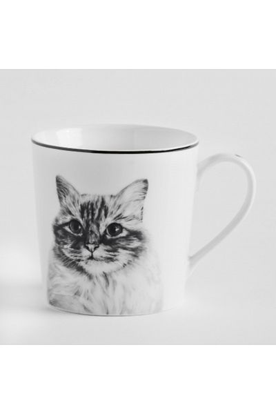 HomeVibes Cana pisicuță 330 ml