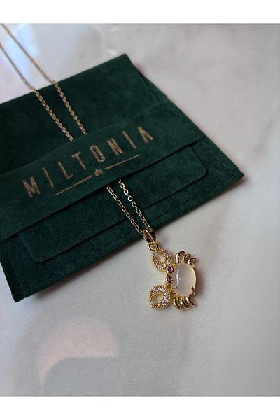Miltonia Crab Steel Necklace