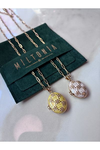 Miltonia Steel Necklace with Floral Enamel Cover