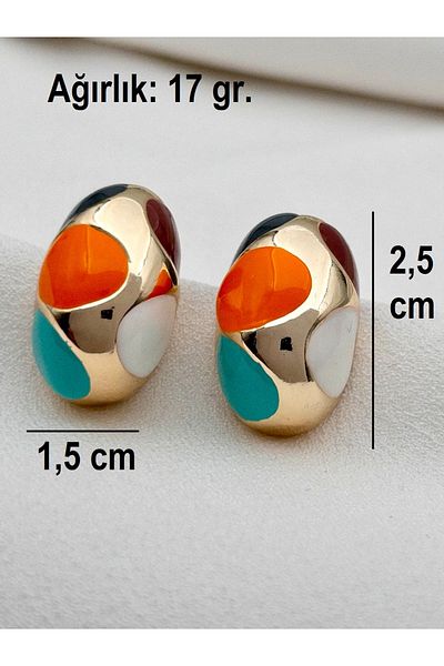 Siya Silver Mixed Color Enamel Curved Steel Earrings