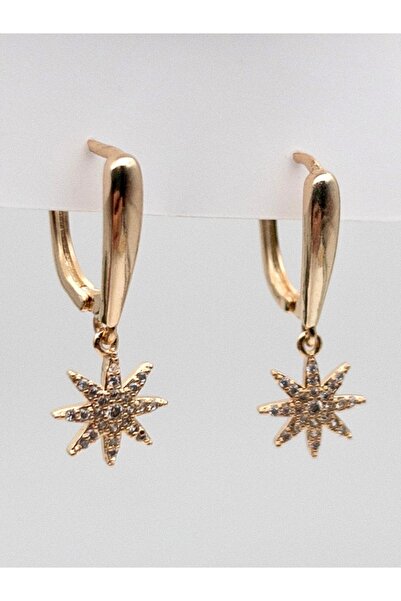 Siya Silver Zirkon Taşlı Sallantılı Çelik Yıldız Küpe