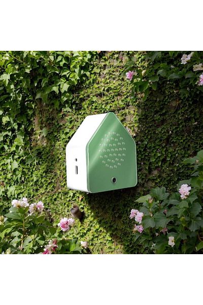 OEM Ambient Sound Audio Box, Nightingale Green, Motion Sensor, Usb-c Charging