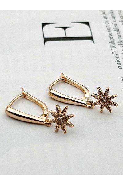 Siya Silver Zircon Stone Dangle Steel Star Earrings