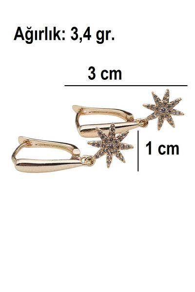 Siya Silver Zircon Stone Dangle Steel Star Earrings