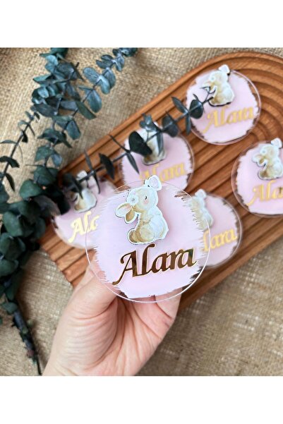 Pass Pano مجموعة مغناطيس بليكسي على شكل أرنب ملون مكونة من 10 قطع - هدية عيد ميلاد وطفل