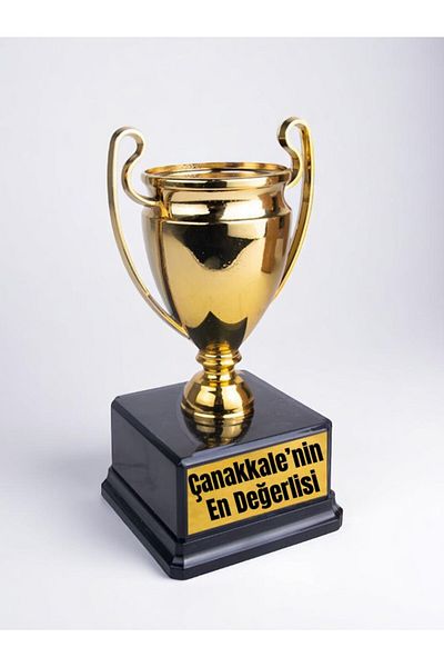 lili hediyelik The Most Valuable Written Award of Çanakkale Success Championship Trophy 23 cm Gift to Çanakkaleli