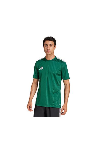 adidas Campeon25 Jsy m Men's Soccer Training Jersey Jf6063 Green