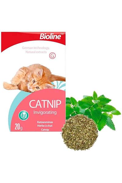 Badem Akvaryum Bioline Catnip Natural Cat Mint 20 Gr