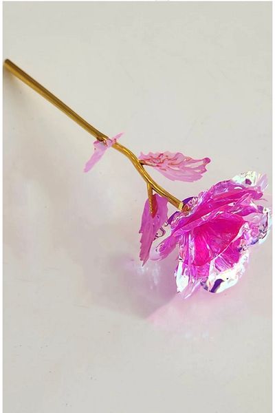DEFORA Δώρο ροζ ροζ Infinity Rose Hologram που αλλάζει χρώμα